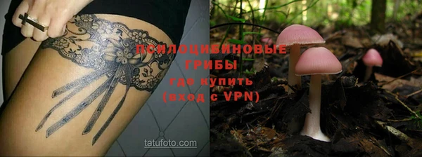 герыч Алзамай