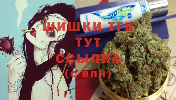 apvp Алексин