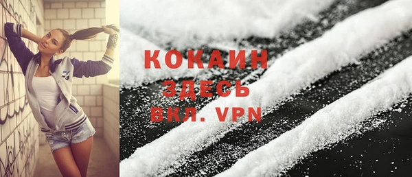 apvp Алексин